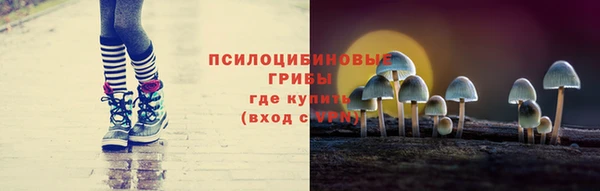 спайс Пестово