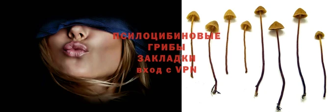 кокаин колумбия Коряжма