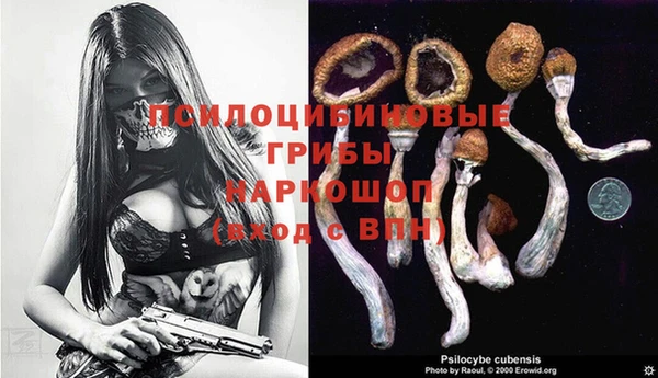 MESCALINE Пересвет