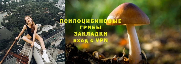 мяу мяу мука Корсаков