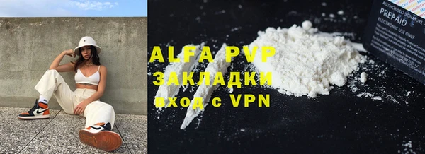 шишки Губаха